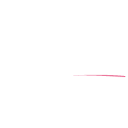 AutoNation, Inc. Share Price